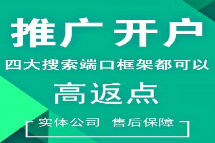 某某SEM服务公司：一则关于广告投放的精彩案例